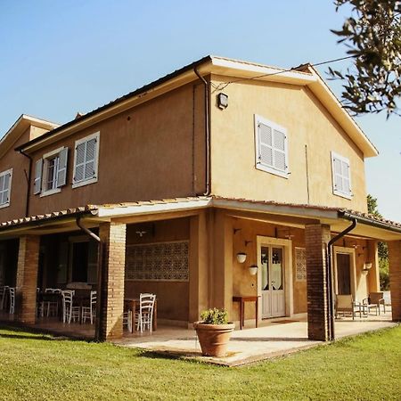 Bio Agriturismo Poggio Aione 萨杜勒尼亚 外观 照片