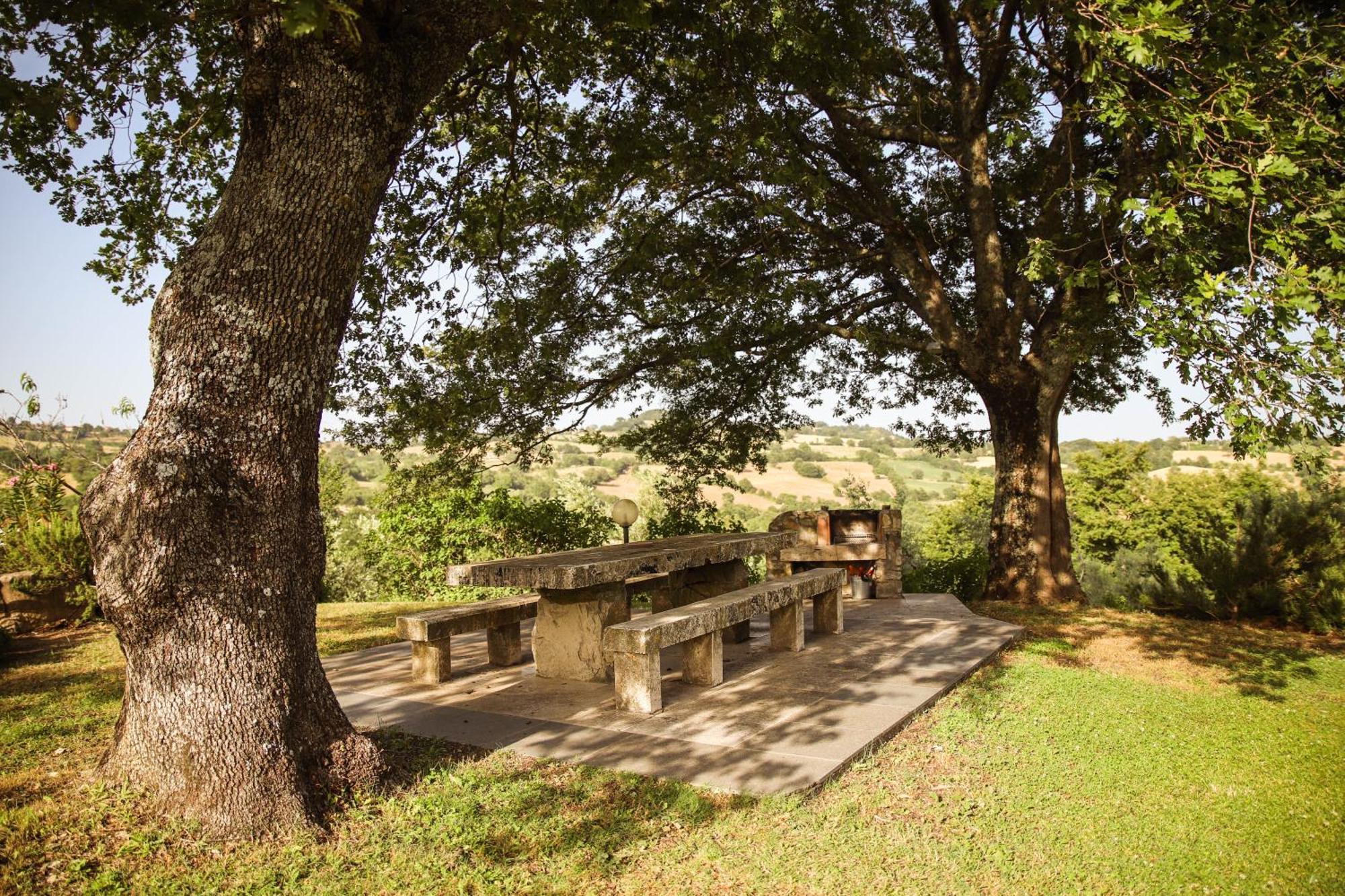 Bio Agriturismo Poggio Aione 萨杜勒尼亚 外观 照片