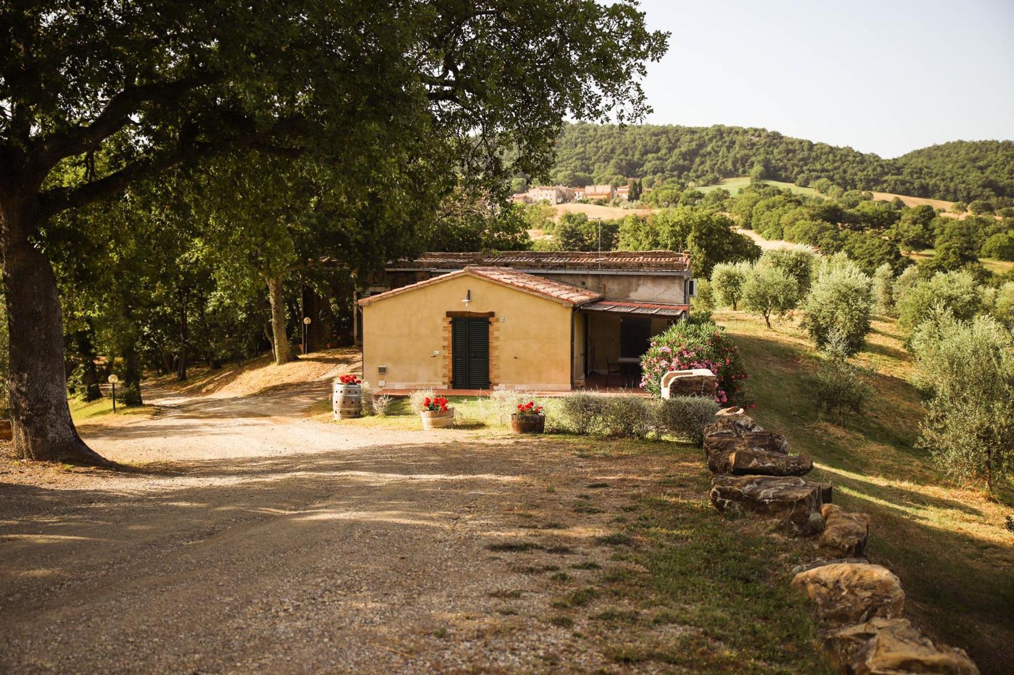 Bio Agriturismo Poggio Aione 萨杜勒尼亚 外观 照片