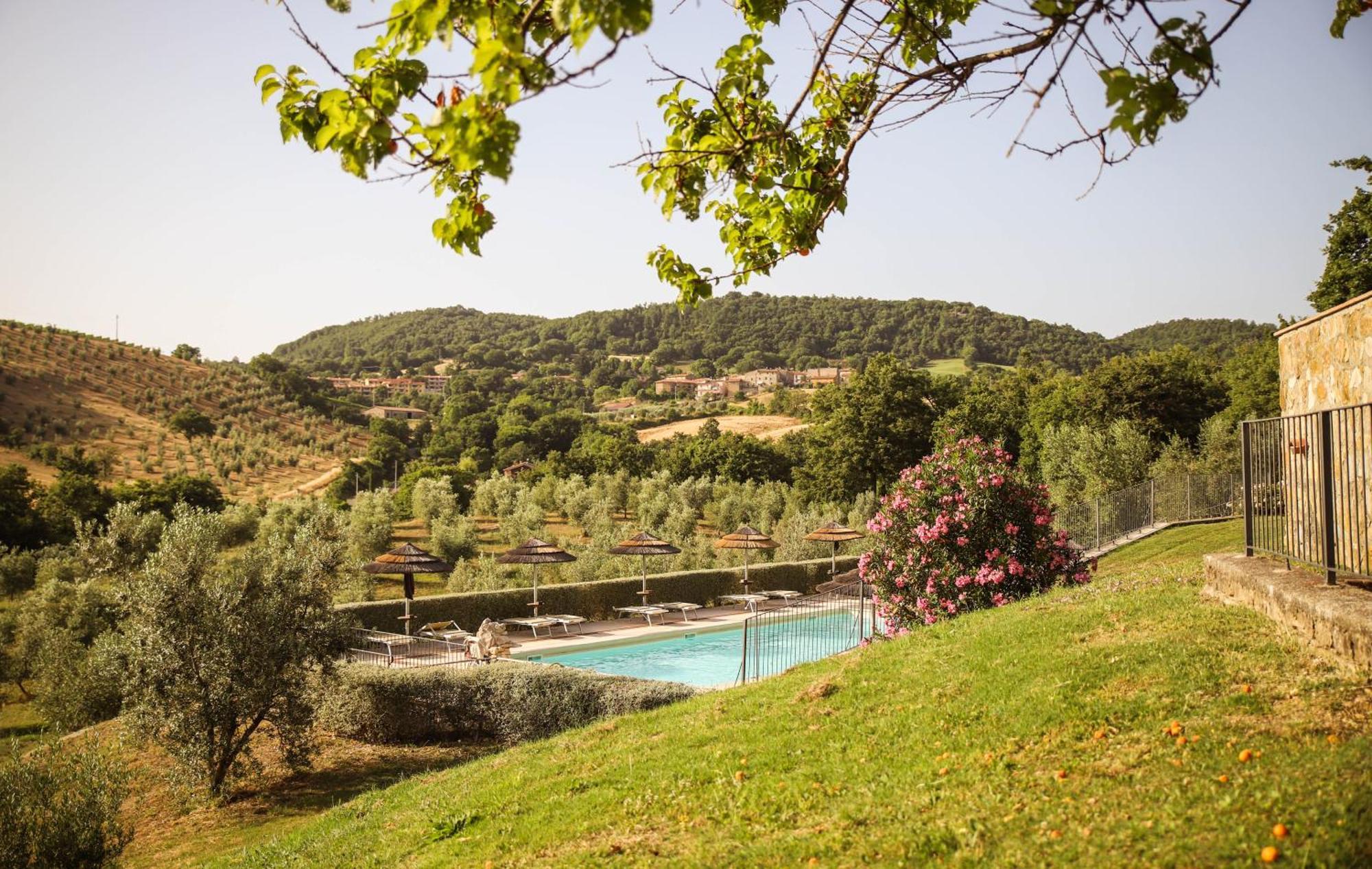 Bio Agriturismo Poggio Aione 萨杜勒尼亚 外观 照片