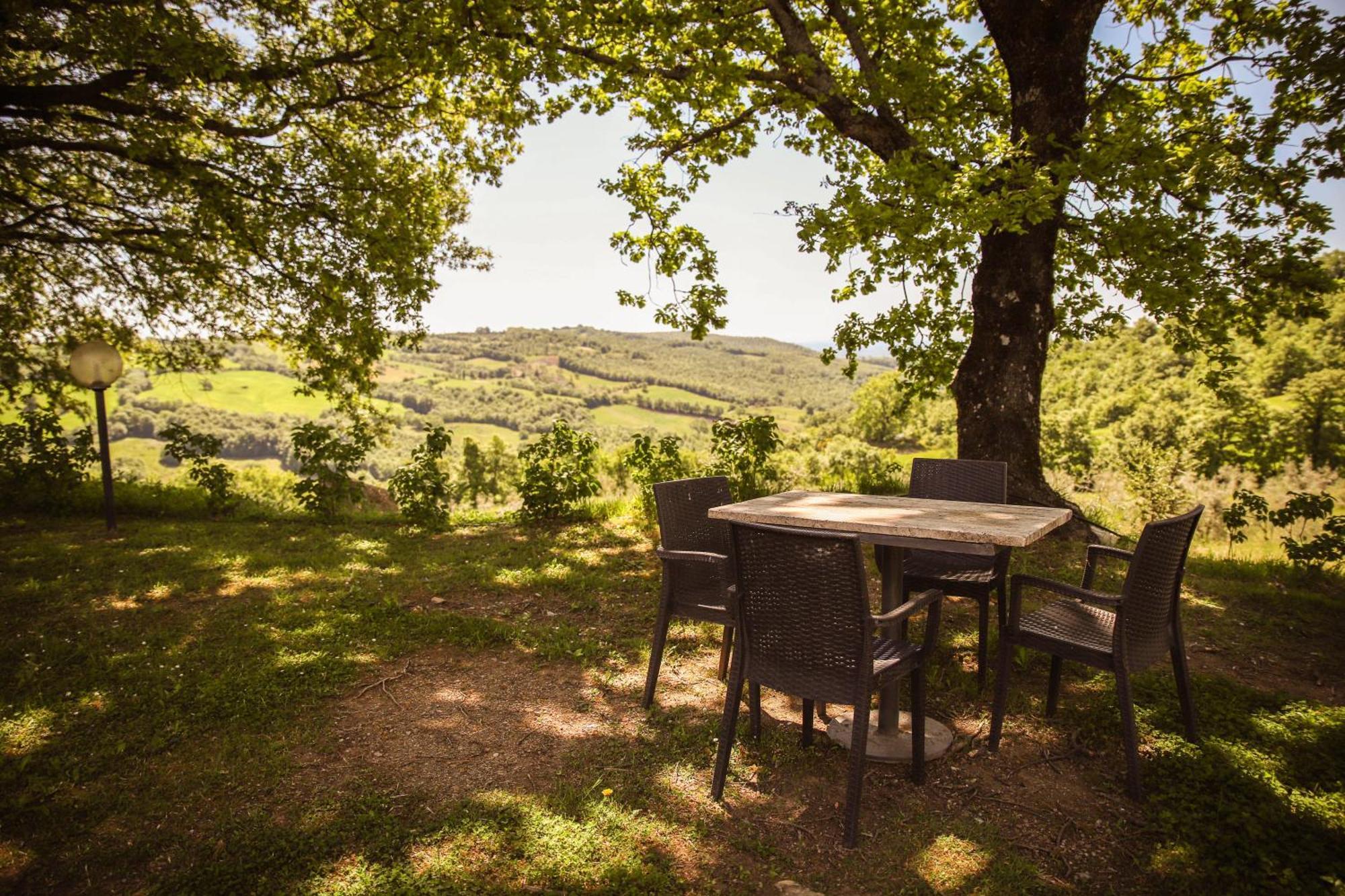 Bio Agriturismo Poggio Aione 萨杜勒尼亚 外观 照片